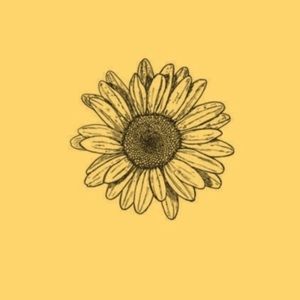 Meet your Posher, Alanna